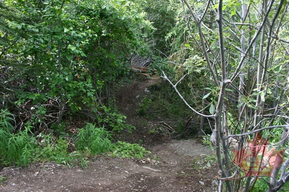 Dirt Jumps
