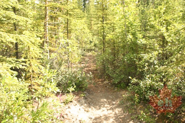 mountain-bike-trails 005.jpg