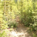 Tight Trail