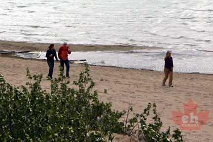 Beachcombing
