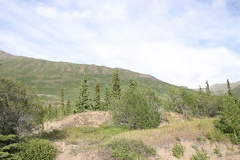 caribou-mtn 002.jpg