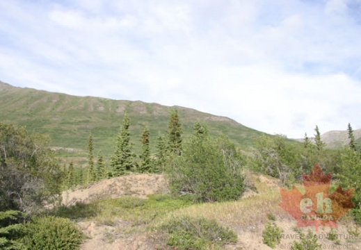 Caribou Mountain (2089 visits) Hiking trail into the backcountry Caribou Mountain