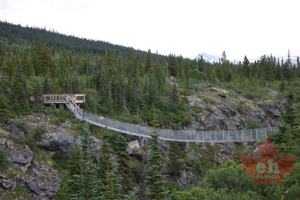 Yukon Suspension Bridge (2262 visits) Local attraction south of Carcross Yukon Suspension Bridge