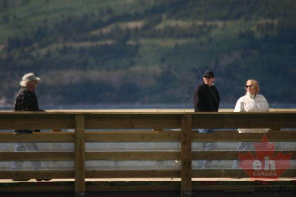 Nice day for a walk (2176 visits) Exploring the Carcross Footbridge Nice day for a walk
