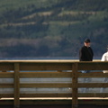 Nice day for a walk (2177 visits) Exploring the Carcross Footbridge Nice day for a walk