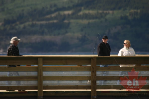 Nice day for a walk (2176 visits) Exploring the Carcross Footbridge Nice day for a walk