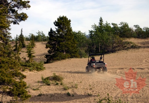 Carcross Dune Buggy