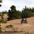 Carcross Dune Buggy