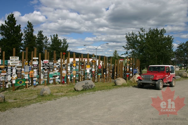 Sign Post Forest