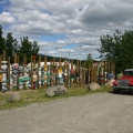 Sign Post Forest