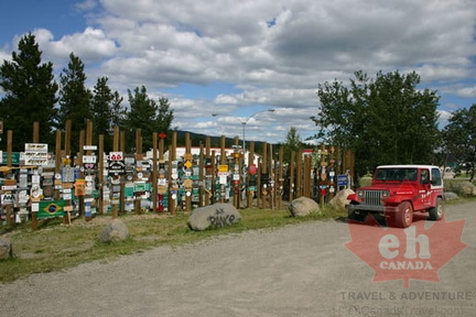 Sign Post Forest