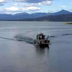 Boating (2042 visits) Boating and Fishing near Tagish, Yukon Boating