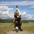 Mammoth Moment