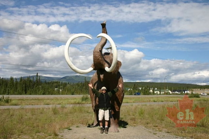 Mammoth Moment