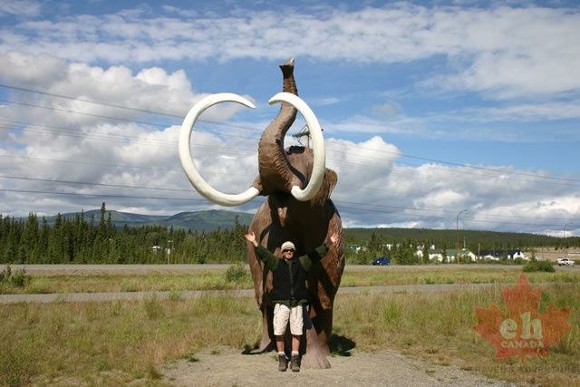 Mammoth Moment