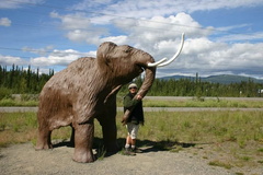Mammoth Hug
