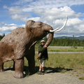 Mammoth Hug