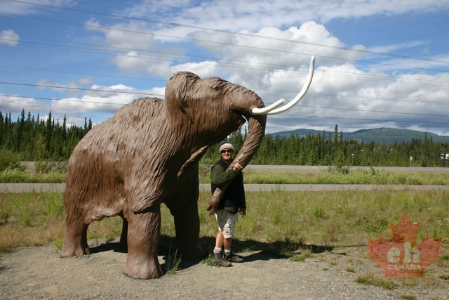 Mammoth Hug