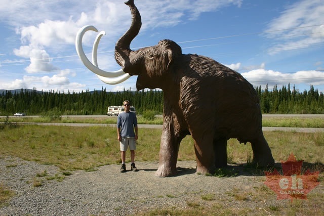 Mammoth