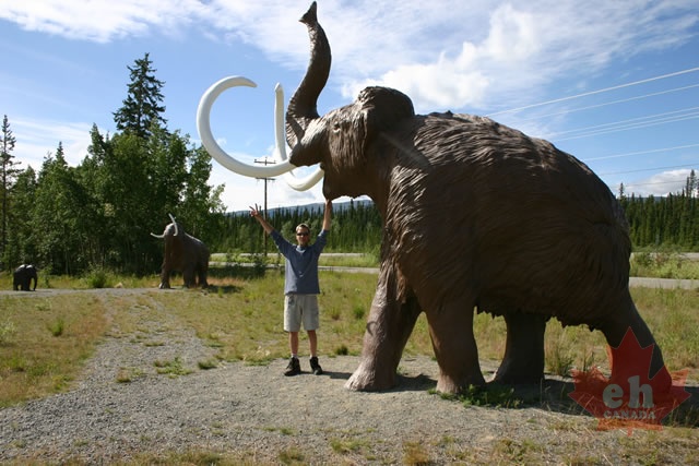 Mammoth Thrills