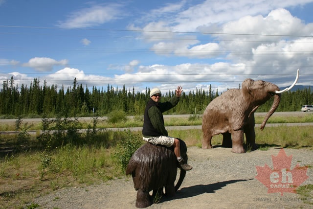 Bareback Riding
