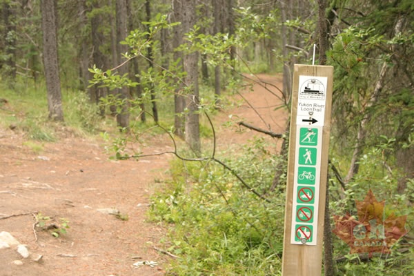 yukon-river-loop-trail.jpg