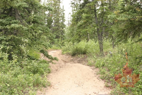 Hiking Trail