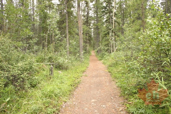 XC Ski Trail