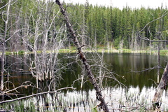 Reflections of Flooding