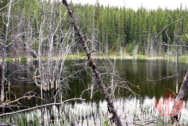 chadden-lake 007.jpg