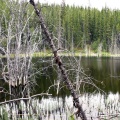 Reflections of Flooding
