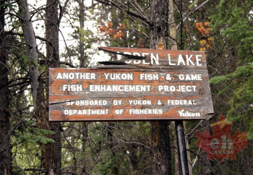 Fishing Sign