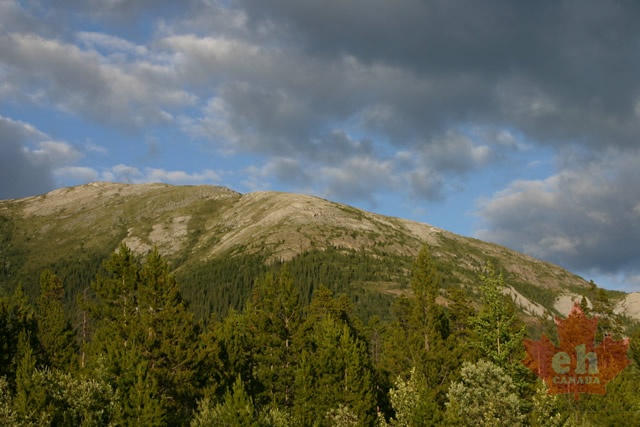 views 007.jpg