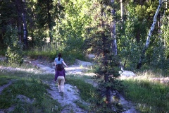 trail 001.jpg