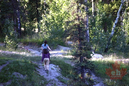 Hikers