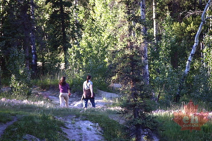Long Lake Hiking