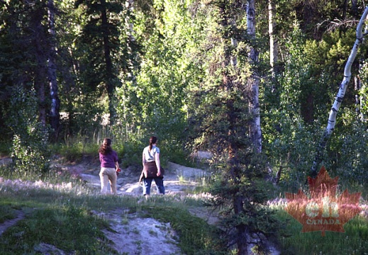 Long Lake Hiking