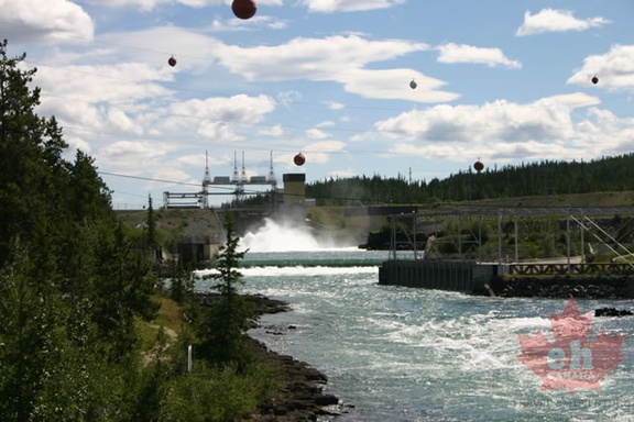 Fish Ladders