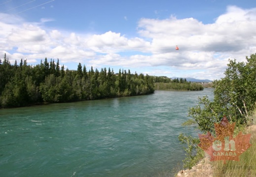Views of Yukon River