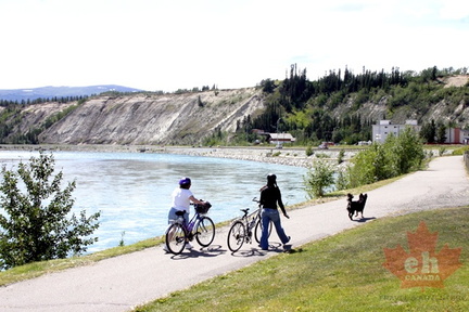 Biking & Walking & Dog Walking
