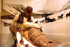 Transportation in the north during the winter dog-sled.jpg
