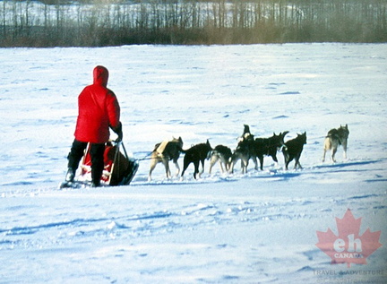 Yukon Quest