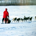 Yukon Quest