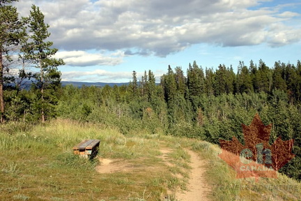 Porter Creek