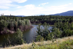 potercreek0023.jpg