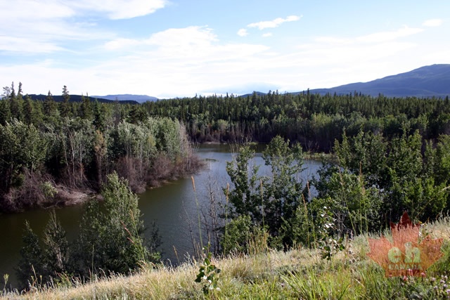 potercreek0023.jpg