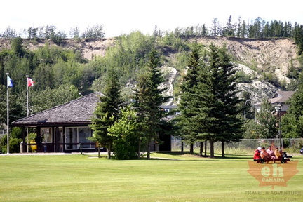 Grass Lawns