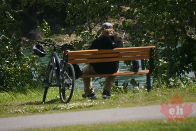 Sitting Benches