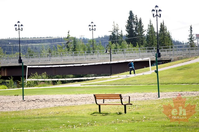 Volleyball