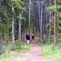 Hikers